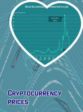 Cryptocurrency fees
