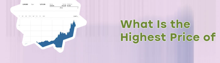 Highest price of bitcoin