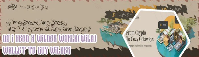 How to buy wilder world crypto