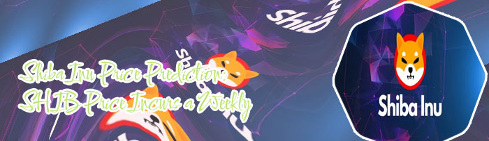 Price of shiba cryptocurrency