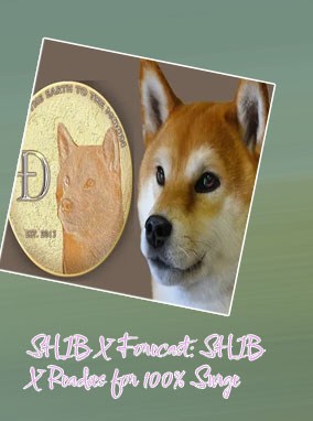 Shib cryptocurrency price